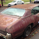 Image for article titled A Bit Of Wax And An Oil Change, And This GTO Will Be Good To Go